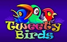 Tweety Birds